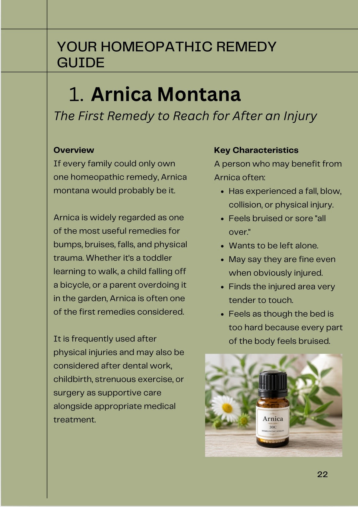 The Homeopathic First Aid Handbook